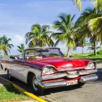 Rotes Dodge Cabrio vor Palmen an der Küste von Havanna