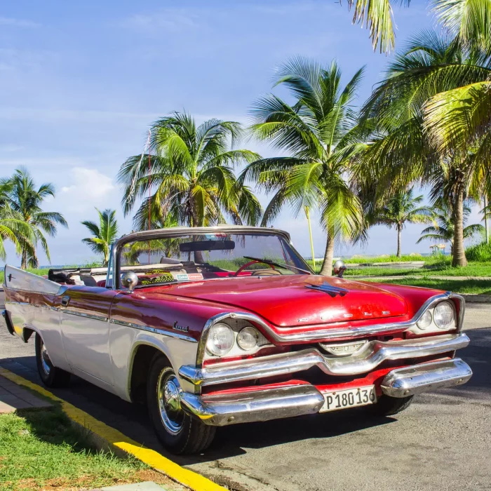 Zweifarbiger Oldtimer-Dodge-Cabrio mit roter Motorhaube und weißem Unterteil, geparkt vor Palmen an einer Küstenstraße in Havanna