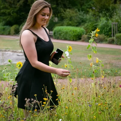 Junge Frau in einem schwarzen ärmellosen Kleid berührt eine Sonnenblume in einer wilden Blumenwiese mit Smartphone in der Hand.