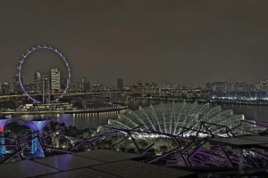 Riesenrad Singapur Flyer bei Nacht