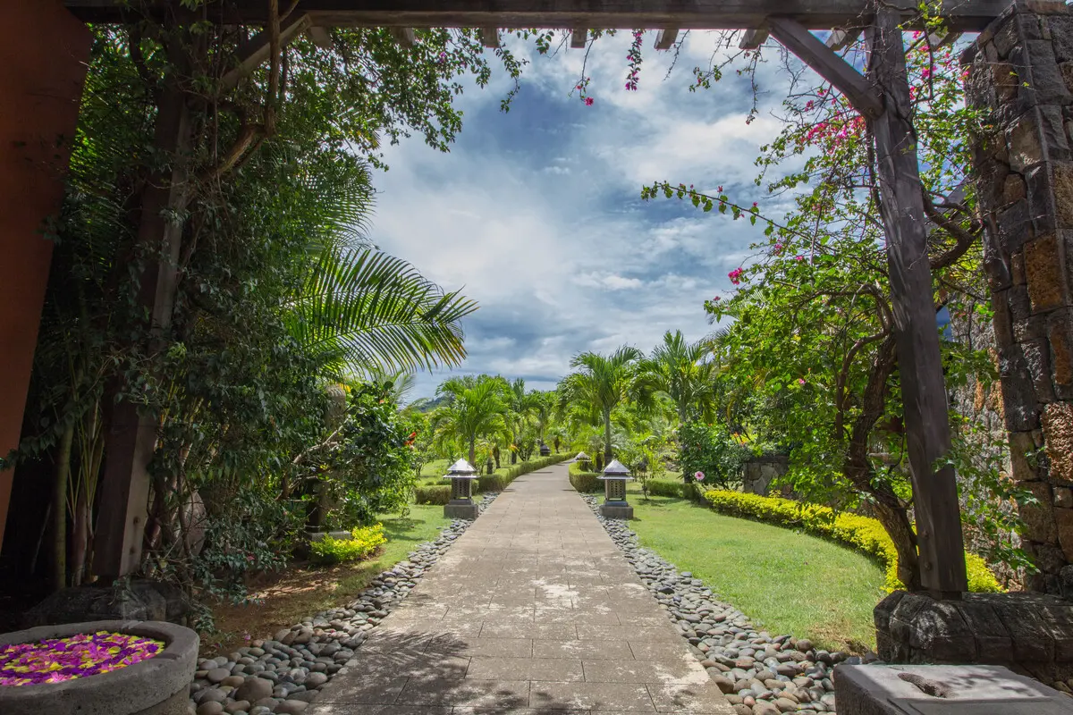 Weg in einem Park auf Mauritius